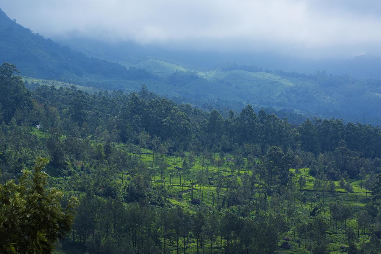 Hôtel Mount View Munnar Extérieur photo